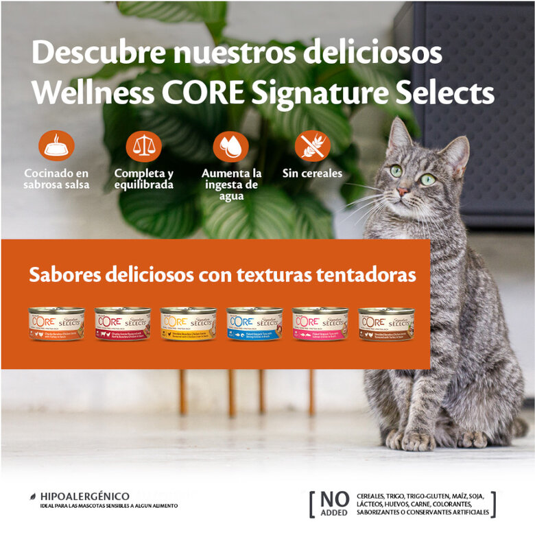Wellness Core Shredded pollo y pavo lata para gatos, , large image number null